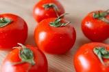 Les producteurs européens de tomates subissent la pression de la concurrence marocaine