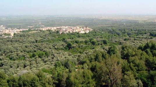 L`agropole de Béni-Mellal en devenir