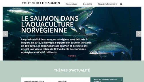 COMMUNICATION: UN SITE D'INFORMATION DÉDIÉ AU SAUMON