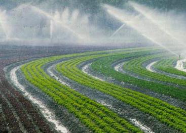 Des experts marocains appellent au renforcement de la coopération agricole arabe et maghrébine