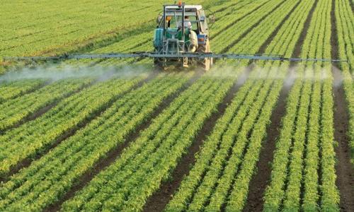 ONSSA : les pesticides obsolètes