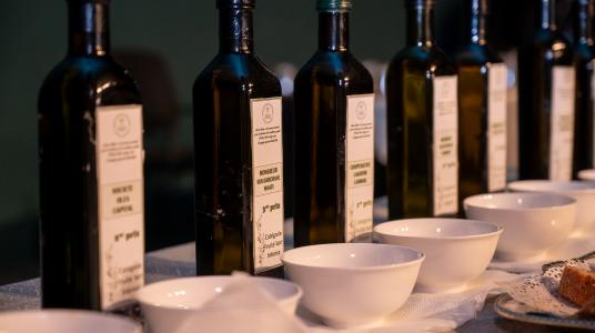 15ème édition du Concours National pour la sélection de la meilleure qualité d’huile d’olive vierge extra au titre de la campagne oléicole 2024/2025