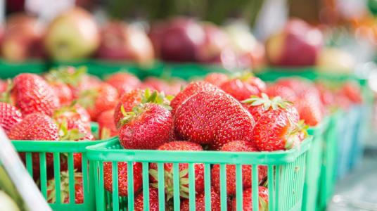 Fruits et légumes : exportations en hausse