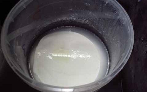 Comment industrialiser le lait de dromadaire et assurer un transfert de technologie