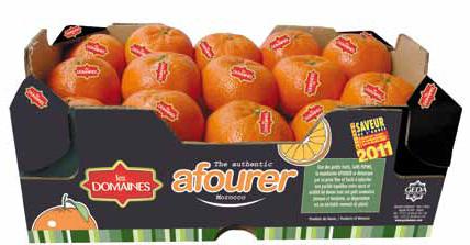 Une mandarine marocaine en vedette dans l’Hexagone