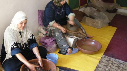 NAISSANCE DE LA FÉDÉRATION INTERPROFESSIONNELLE MAROCAINE DE LA FILIÈRE ARGANE 