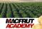 Macfrut Academy : Les Inscriptions Sont Ouvertes