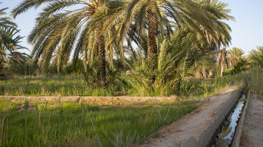 SANLUCAR REÇOIT LE PRIX D'ÉTAT POUR L'ENGAGEMENT SOCIAL EN TUNISIE