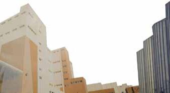 Technologie fine pour le couscous Dalia