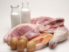 La FAO incite à une consommation appropriée des œufs, de la viande et du lait, essentiels pour la nutrition