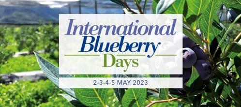 À Macfrut 2023 l'accent sera mis sur les myrtilles avec les International Blueberry Days