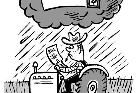 Une pomme de terre OGM entre dans l`UE