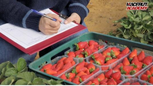 Macfrut Academy, une nouvelle leçon vidéo