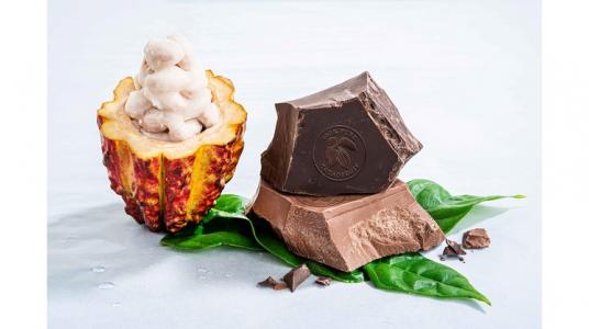 BARRY CALLEBAUT INNOVE