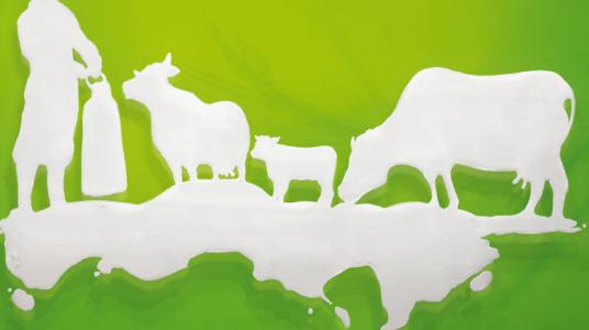 Centrale laitière engrange des mégarésultats