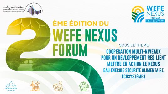 LE FORUM WEFE NEXUS 2025 : UNE INITIATIVE CRUCIALE POUR LA GESTION INTÉGRÉE DES RESSOURCES EN AFRIQUE