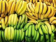 Exportations mondiales de bananes en baisse de 7,5 % en 2022