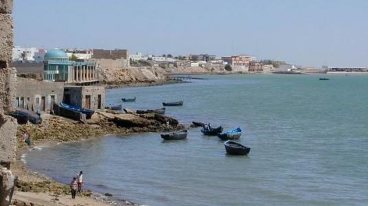 Alerte aux biotoxines dans les mollusques bivalves