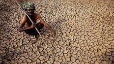 La Corne de l'Afrique touchée par la sécheresse : la FAO intervient