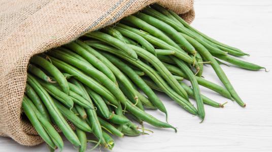 Le Maroc s’impose en tête des exportateurs de haricots verts vers l’Irlande