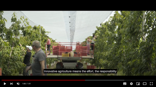 Arrigoni, la durabilité en agriculture avec une nouvelle vidéo
