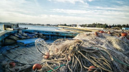 La pêche en repli au Maroc