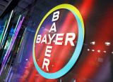 Bayer Maroc Accélère La Transformation De L’Agriculture Marocaine