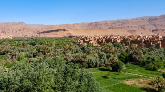Campagne agricole 2026-2027 : le retour de l’eau ouvre de nouvelles perspectives au Maroc