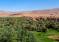 Campagne Agricole 2026-2027 : Le Retour De L’Eau Ouvre De Nouvelles Perspectives Au Maroc