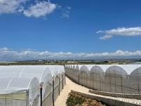 Poivrons, tomates, aubergines : Arrigoni présente le nouveau filet de protection Prisma® Ldf Strong