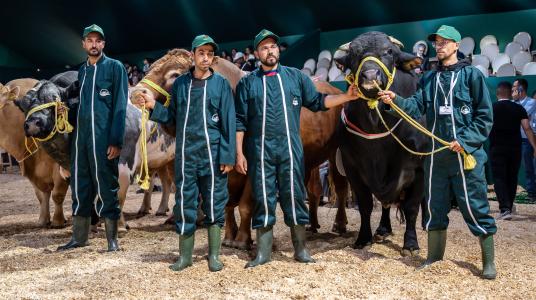 Remise des prix des concours de sélection des meilleurs animaux d’élevage