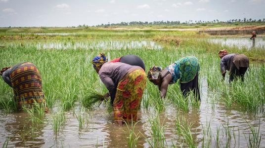 Sénégal : la Banque africaine de développement débloque plus de 55 millions d’euro pour augmenter les productions agricoles, les emplois et les revenus dans neuf régions du pays