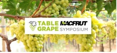 Symposium sur le raisin de table Macfrut : le raisin de table, produit phare du Macfrut 2024