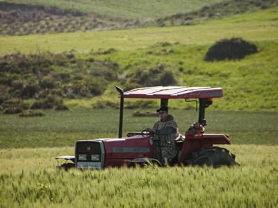 Le ministère de l’Agriculture, de la Pêche maritime, du Développement Rural et des Eaux et Forêts, le ministère de l’Economie et des Finances, la Fondation OCP et l’UM6P unissent leurs forces pour accompagner l’évolution de l’agriculture marocaine 