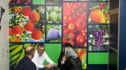 La Chine et les Émirats arabes unis, pays invités à Fruit Attraction