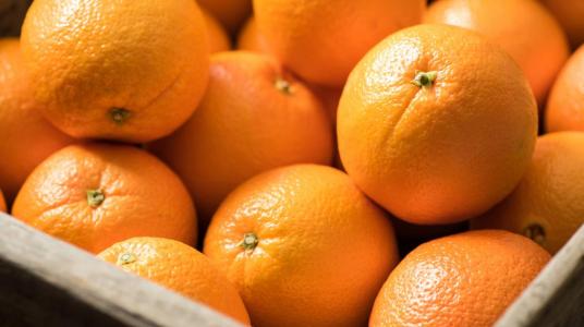 Les oranges marocaines franchissent un nouveau cap sur le marché européen.