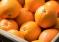 Les Oranges Marocaines Franchissent Un Nouveau Cap Sur Le Marché Européen.