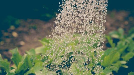 Le retour de l’eau redonne espoir à l’agriculture marocaine
