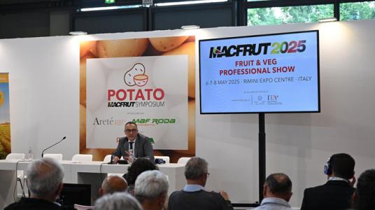 Pommes de terre : c'est la course à l'innovation