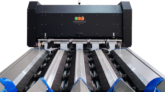 SORMA GROUP AU MACFRUT : SOLUTIONS AVANCÉES POUR LE PROCESSUS POST-RÉCOLTE DES POMMES ET AGRUMES 
